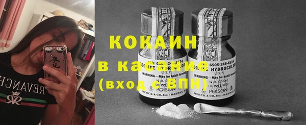 мяу мяу мука Беломорск