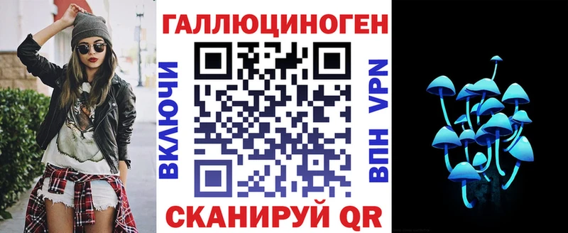 Купить закладки  Сретенск  Псилоцибиновые грибы GOLDEN TEACHER 